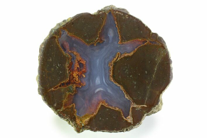 Colorful Polished Thunderegg Half - Nevada #337761